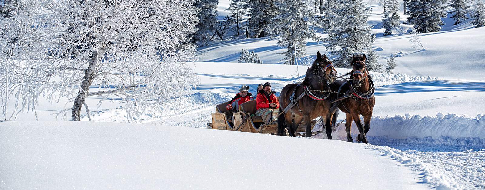 Le cheval à Tignes